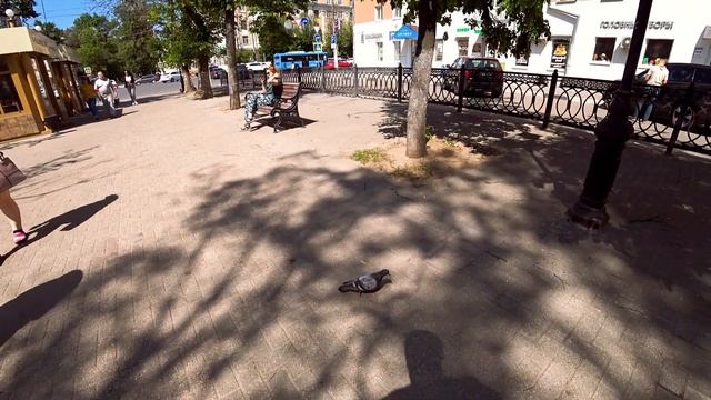 Гуляем на Бульваре Радищева. #влог #провинциальныйтолстяк #тверь