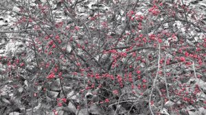 Прот. Игорь Рябко. Размышления над книгой "Симуляция жизни или реквием по мечте"