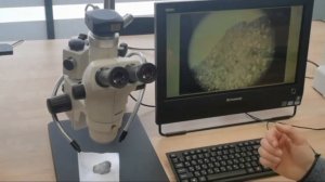 Обзор стереоскопического микроскопа NSZ 608T