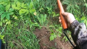лето едем с братом в лес отдохнуть и по копать железо