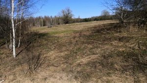 коп в тверской области