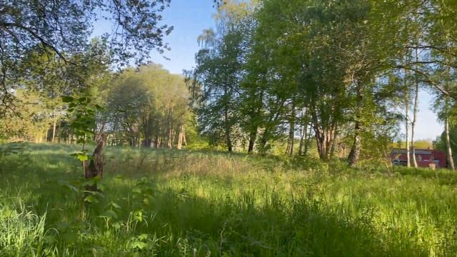 Несколько дней из моей жизни | Куда пропала? смотреть онлайн