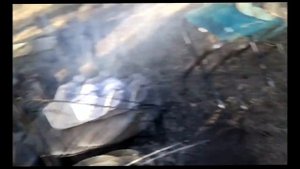 Охота 2020 год из архива #копико #рыбалка #fishing #утка