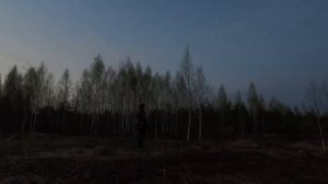 Весенняя охота на Вальдшнепа