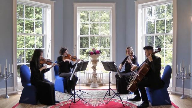 Party In The USA (Miley Cyrus) Wedding String Quartet смотреть онлайн