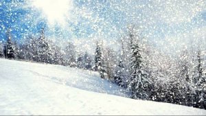 Надежда Гришина Снег летит и летит ❄