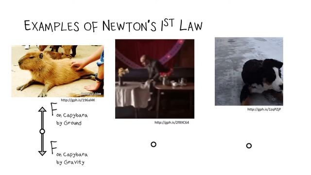 TP: Dynamics - Newton's First and Second Laws of Motion смотреть онлайн