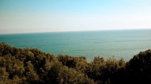 Симеон Афонский. Только в трудностях открывается красота души