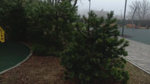 Прогулка по парку, детская площадка