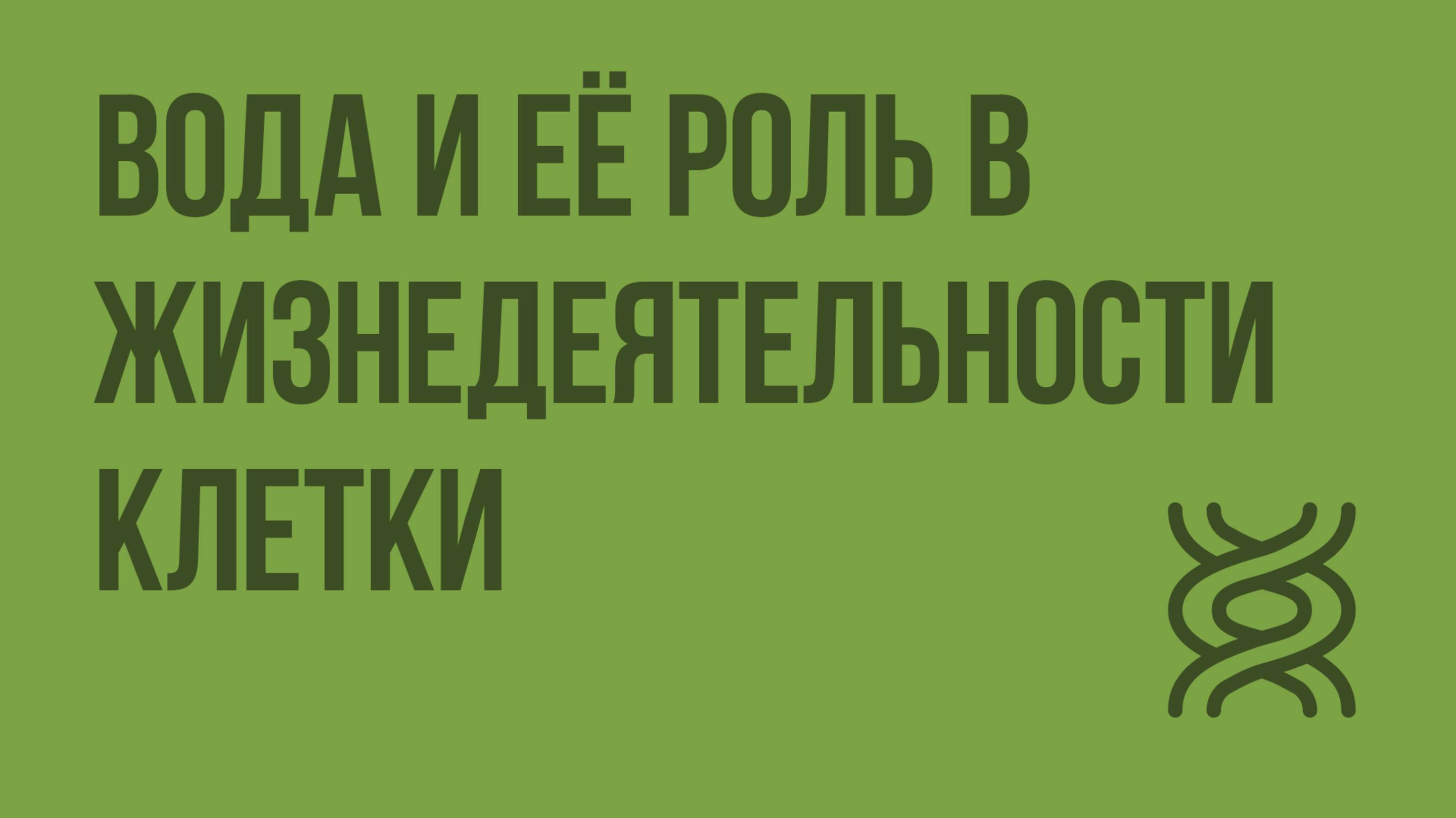 Вода и её роль в жизнедеятельности клетки