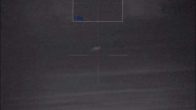 Тестирование Pulsar Digisight Ultra N355 115  Режим S+подсветка 1 !!! Лиса 240 200м Полная темнота смотреть онлайн