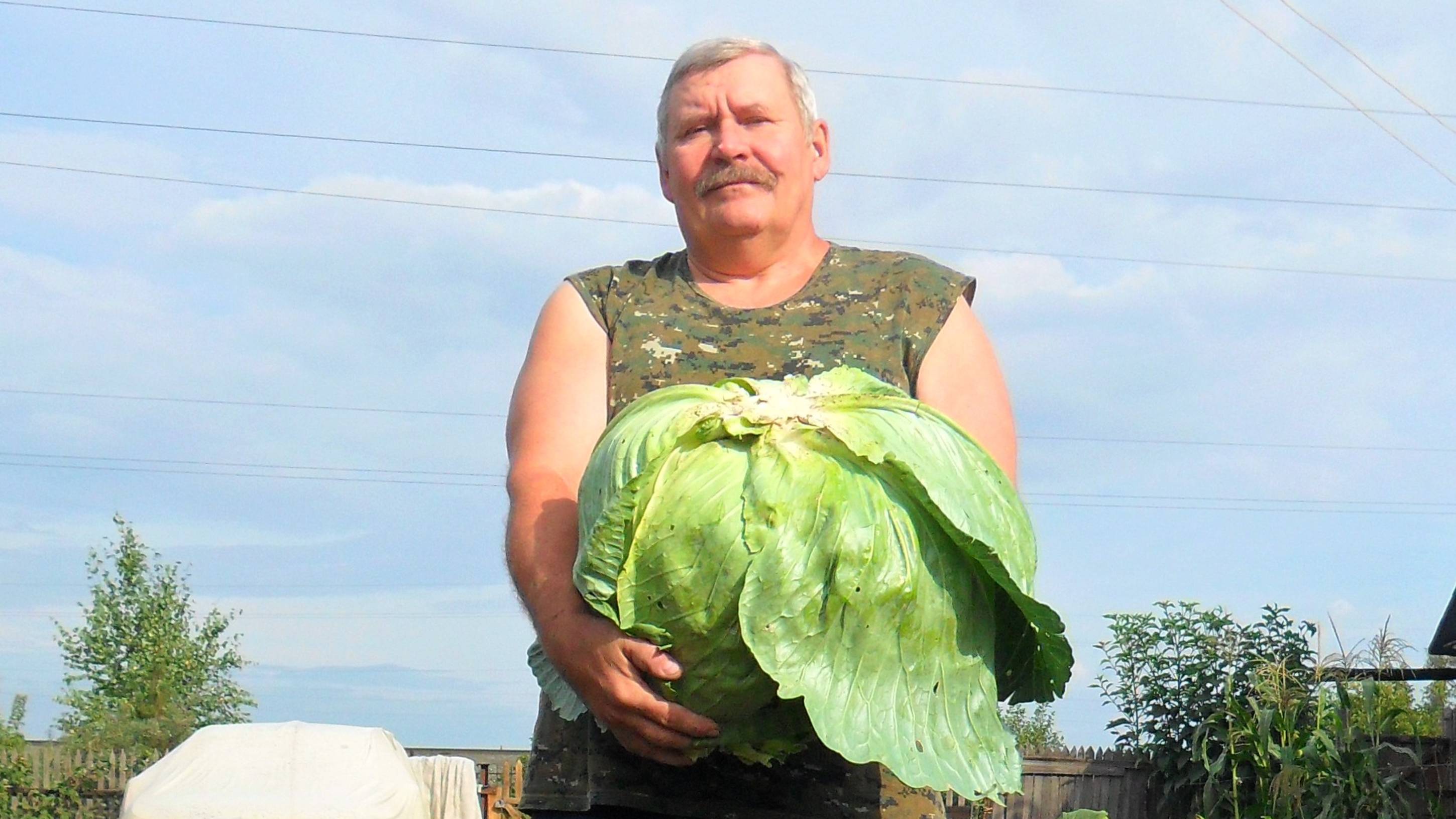 Ответы на вопросы по садово-огородным делам 20