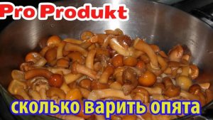 Сколько варить опята