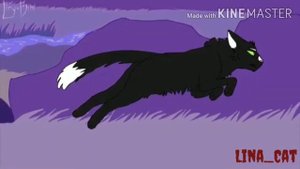 Коты Воители~ Killing Butterflies