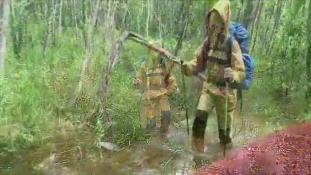 Тайное путешествие, июнь 2017 смотреть онлайн