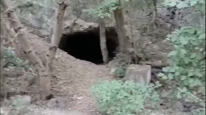 Верхом на змейке.