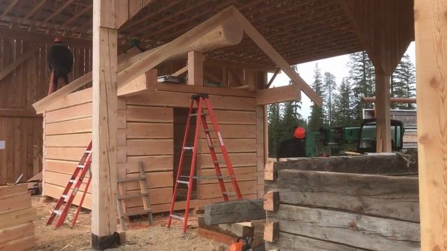 How to Build a Dovetail Log Cabin with the BC School of Log Building bclogschool dovetailcourses