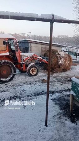 Деревенская жизнь 🚜😱