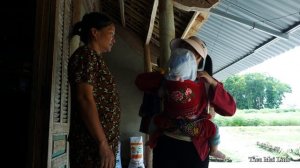 Life of a 18-Year-Old Single Mom - Harvest Lemons to Sell in Town & Learning How to Raise Wild Boar