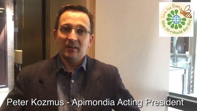 BEE Insights: The Origins of World Bee Day смотреть онлайн