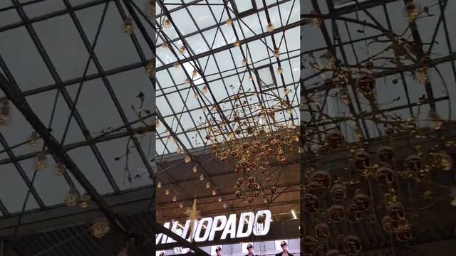 Мой любимый Горизонт - декабрь 2021(1) Ростов-на-Дону смотреть онлайн