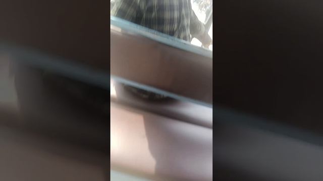 Ajke babur exam ar copy sewing 🤗 Babur mukh dekhe ki mone hochhe ? kemon peyeche number смотреть онлайн