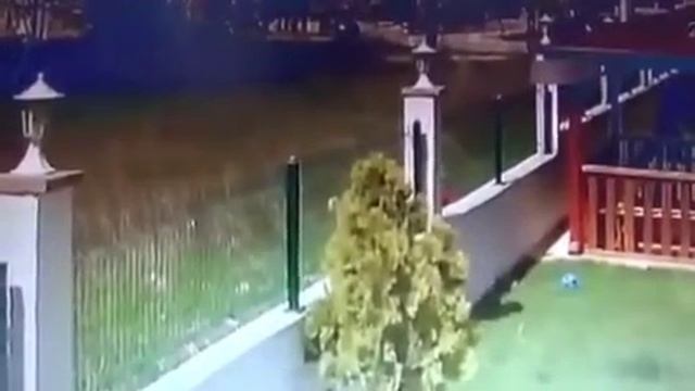 не для слабонервных смотреть онлайн