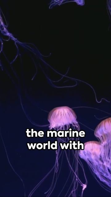 Jellyfish: The Graceful Enigma of the Ocean смотреть онлайн