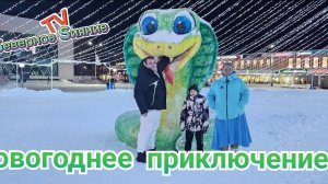 В ПОГОНЕ ЗА ЕЛКАМИ