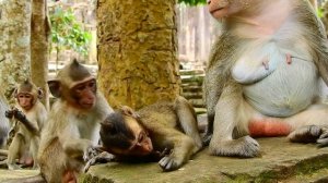 Poor David angry mum convulsive, Mum not breastfeed big baby, David need mum comfort 960