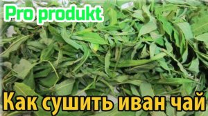 Как сушить иван чай