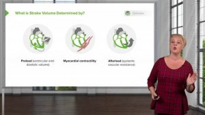 3.01 Shock- Definition & Determinations