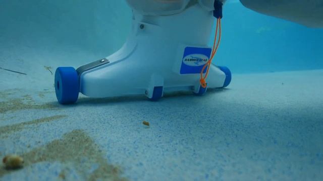 HAMMER-HEAD POOL VACUUM