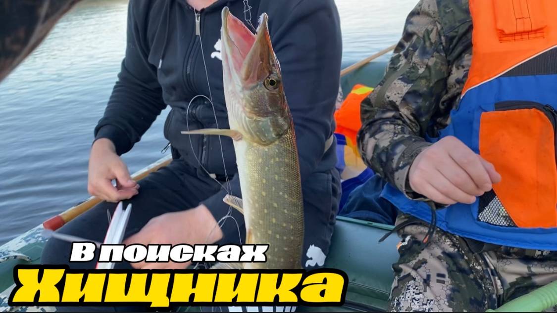 Такого улова еще никогда не было! Втроем на лодке Mishimo Sport 370 выехали на поиски хищника смотреть онлайн