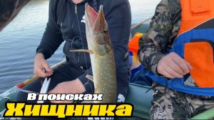 Такого улова еще никогда не было! Втроем на лодке Mishimo Sport 370 выехали на поиски хищника