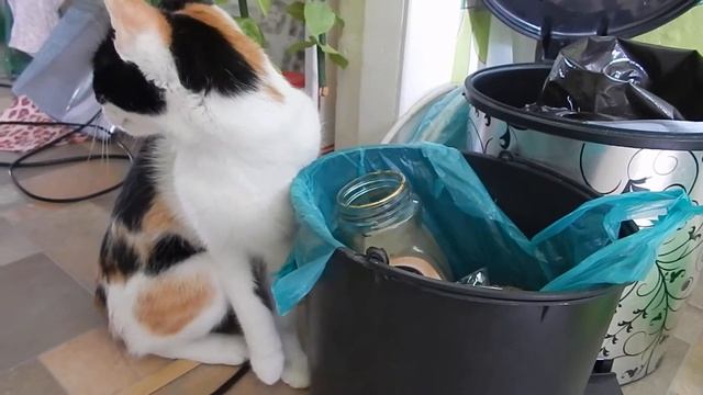 Любимый кофе!