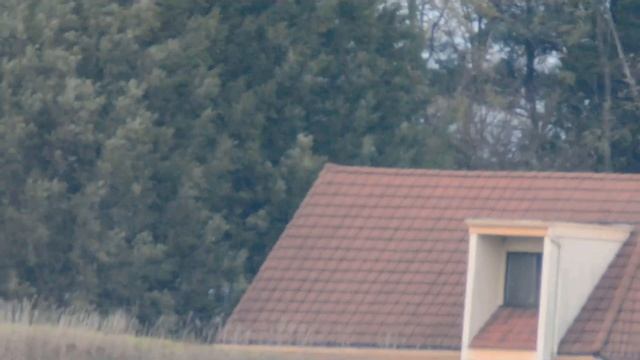 Digiscoping 2,125 Yards with the Swarovski 115mm Objective Module смотреть онлайн