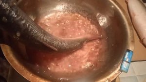 Арктический омуль, делаем уху🐟