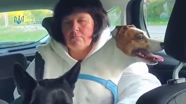 Света своего добилась) в Днепре смотреть онлайн