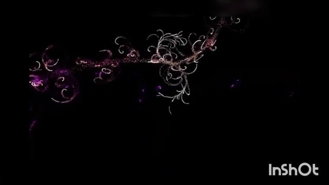 Barbie AMV 🥰🥰 смотреть онлайн