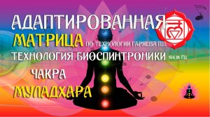 Муладхара 🧘 первая чакра 🔊 матрица по технологии Гаряева П.П ☀️ SoftRadio.ru