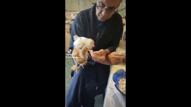 20230409 какой же вкусный паштет из банки смотреть онлайн