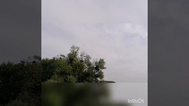 Donaukinder... Orth-an-der-Donau. смотреть онлайн