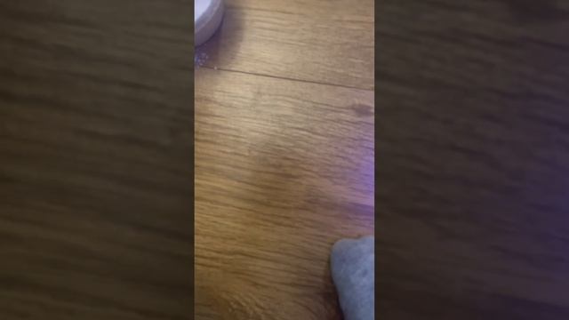 человеческий палец, ватная палочка и кальций моей ящерицы под микроскопом смотреть онлайн