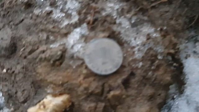 Wykopki Garrett Apex