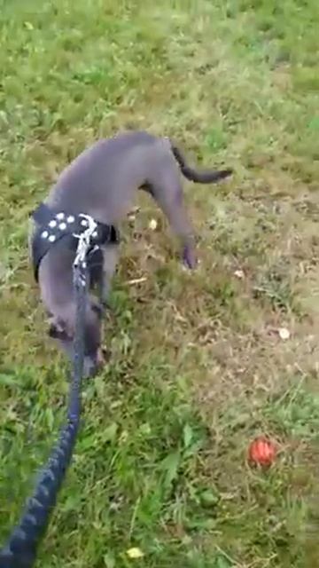 ОБЗОР ПОКУПАТЕЛЯ /PRIDE смотреть онлайн