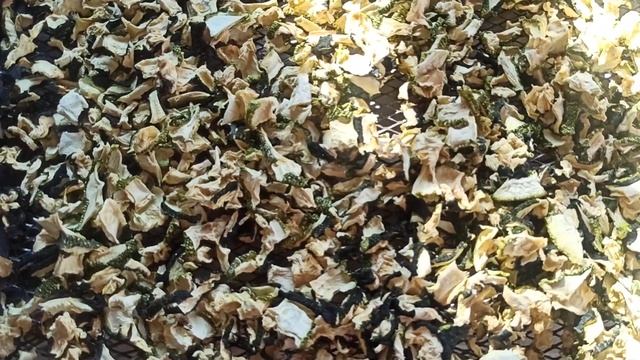 Сушка овощей в домашних условиях. Заготовки на зиму смотреть онлайн