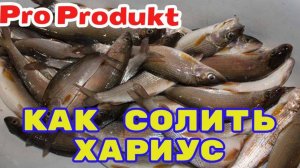 Как солить хариуса в домашних условиях