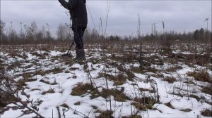 заброшенные  деревни. находки радуют.