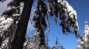 Плач Святой Руси (Пробирающее до мурашек песнопение!)